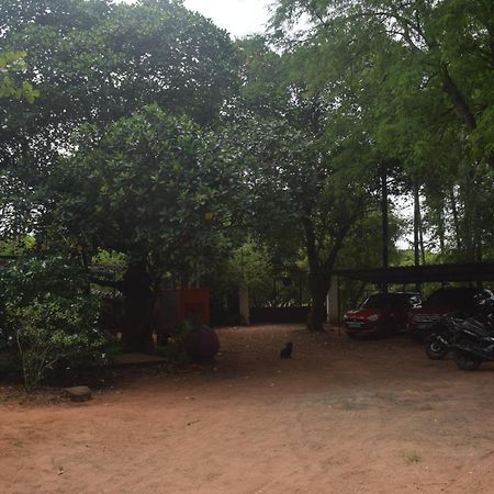 Travellers Crib Hotel Auroville Ngoại thất bức ảnh