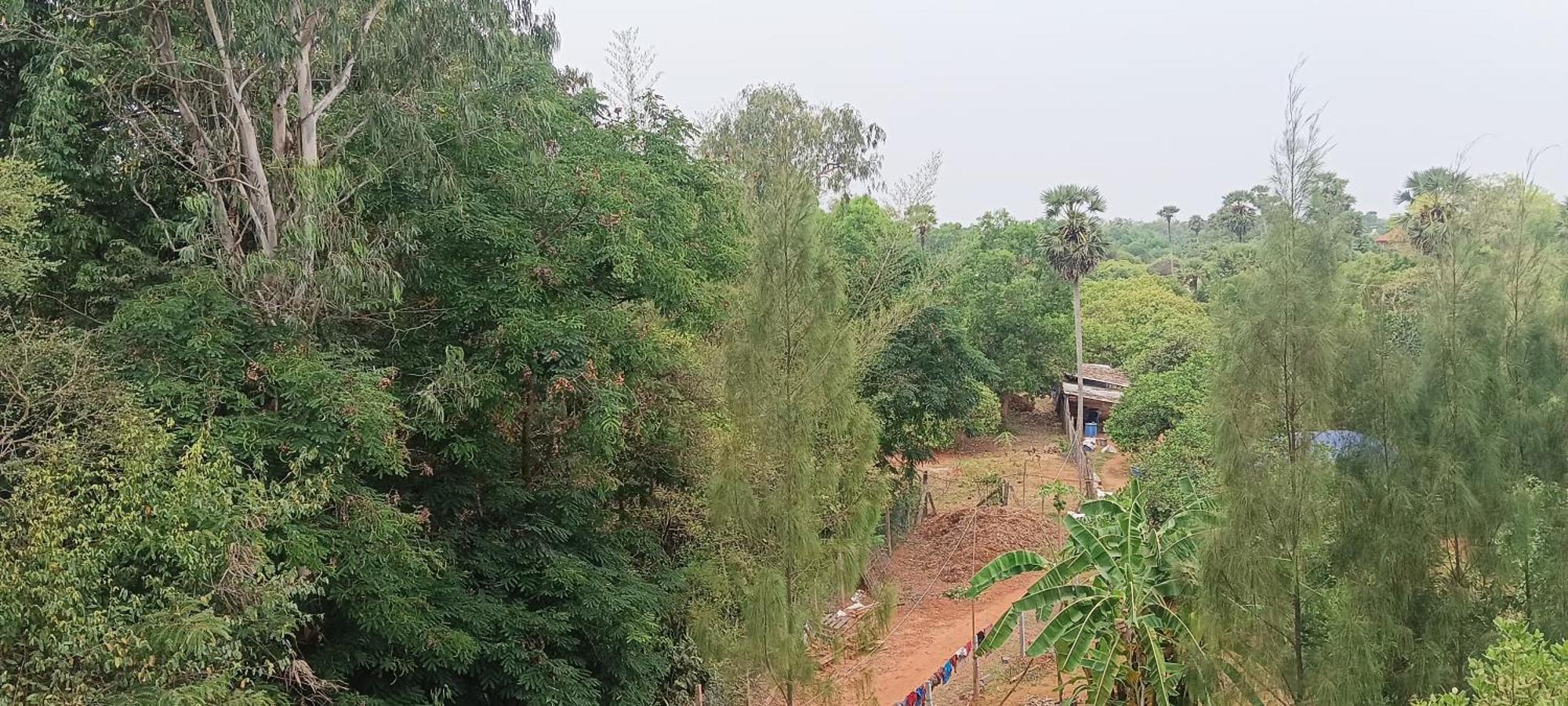 Travellers Crib Hotel Auroville Ngoại thất bức ảnh
