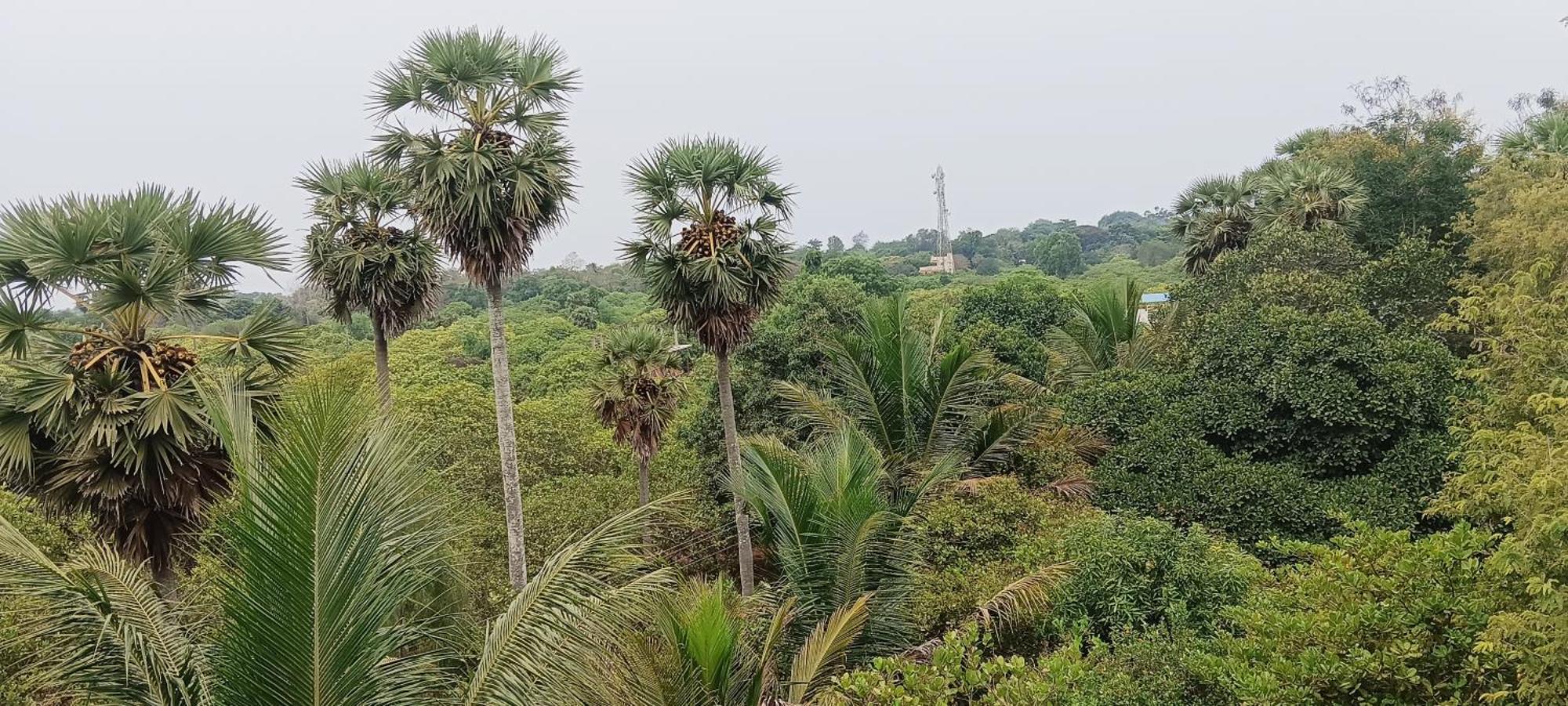 Travellers Crib Hotel Auroville Ngoại thất bức ảnh