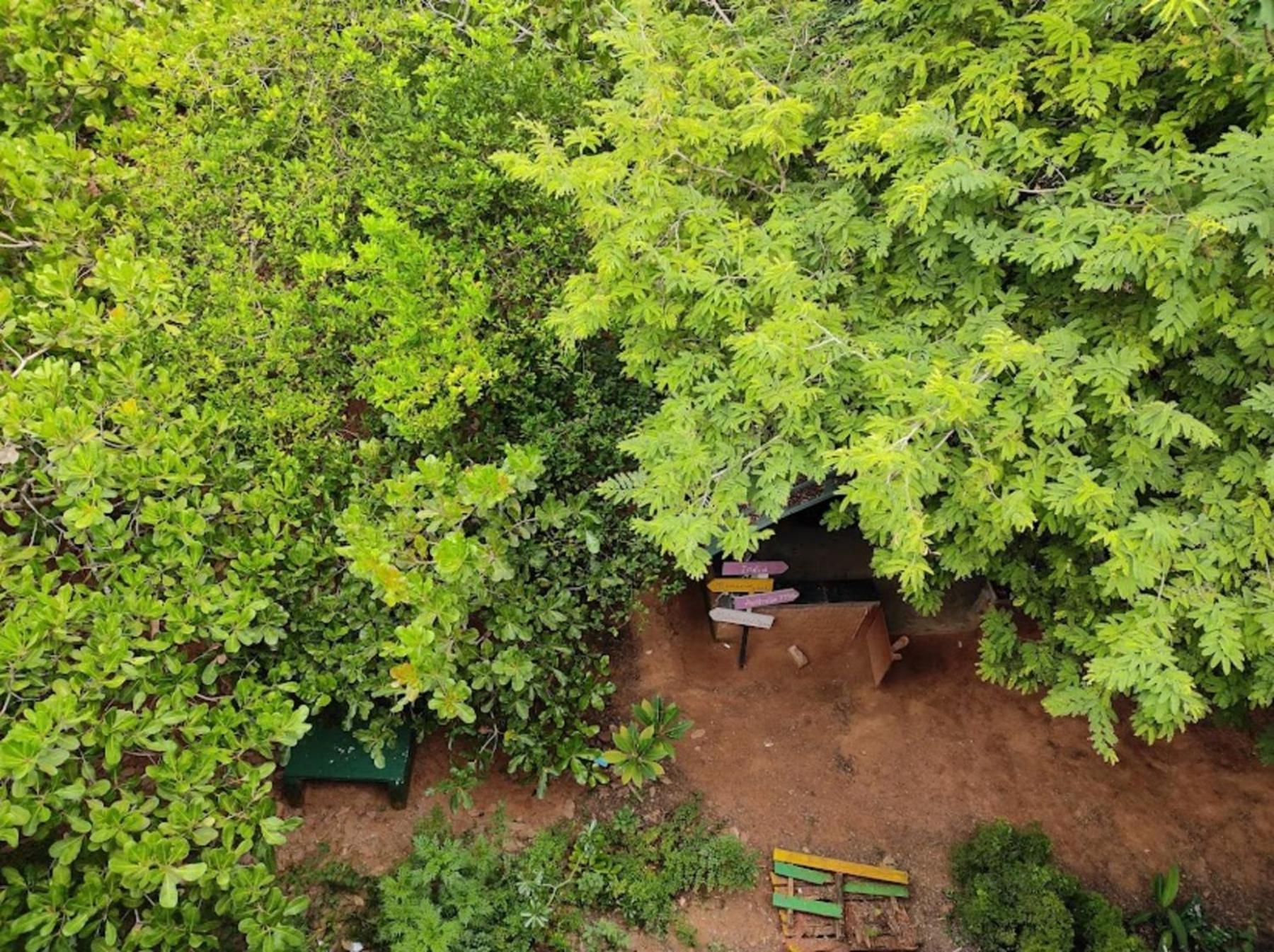 Travellers Crib Hotel Auroville Ngoại thất bức ảnh