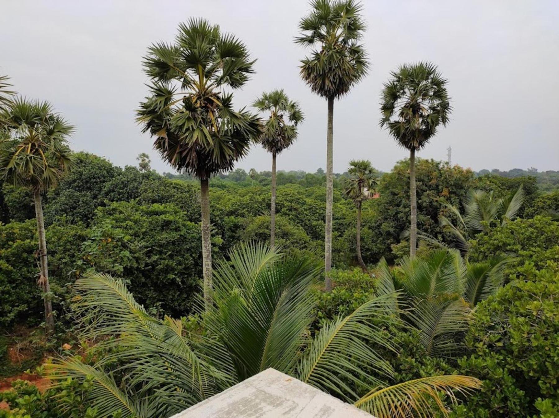Travellers Crib Hotel Auroville Ngoại thất bức ảnh