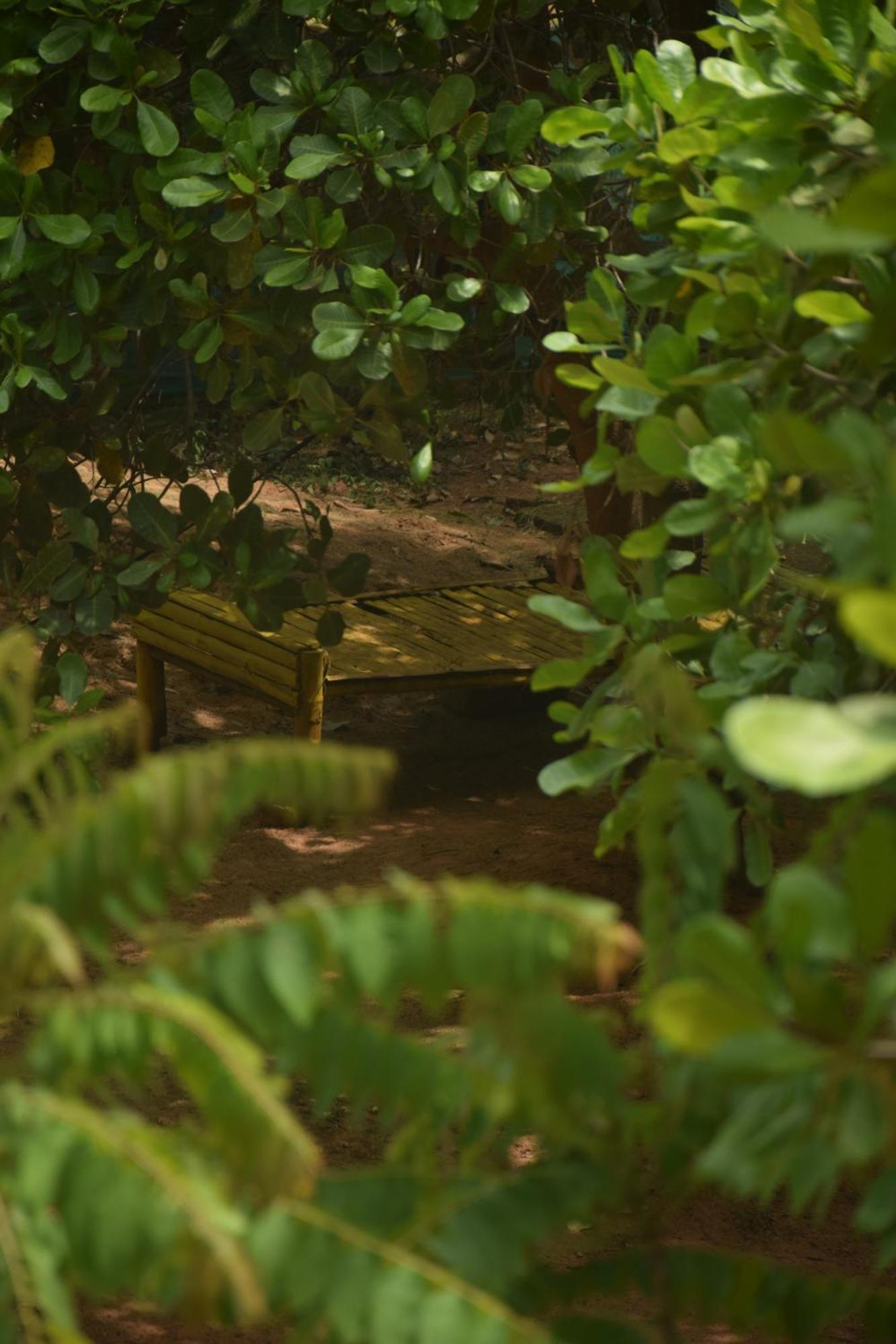 Travellers Crib Hotel Auroville Ngoại thất bức ảnh