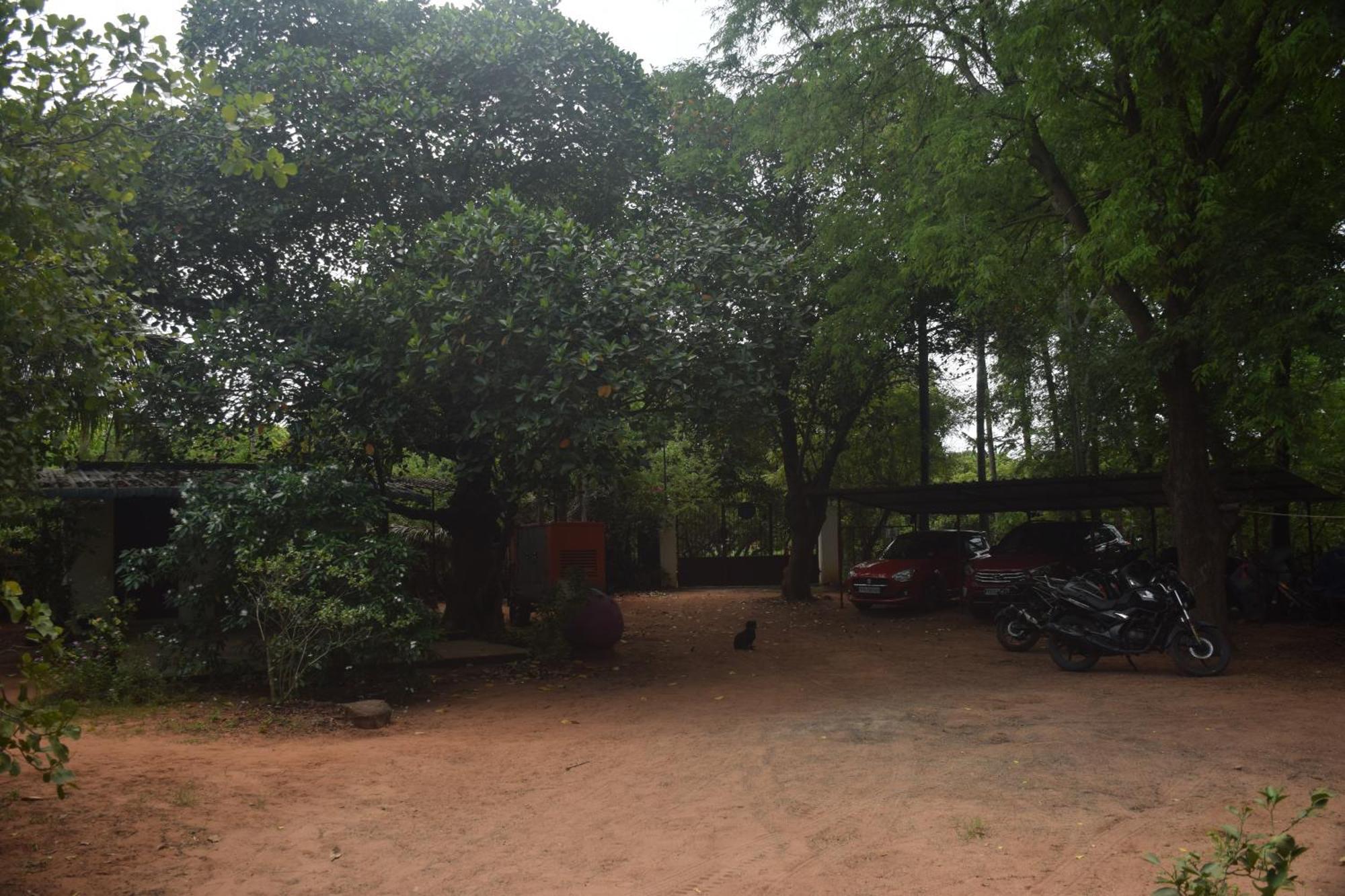 Travellers Crib Hotel Auroville Ngoại thất bức ảnh