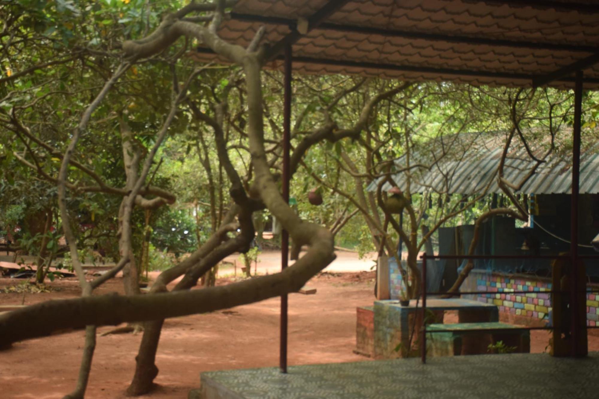 Travellers Crib Hotel Auroville Ngoại thất bức ảnh