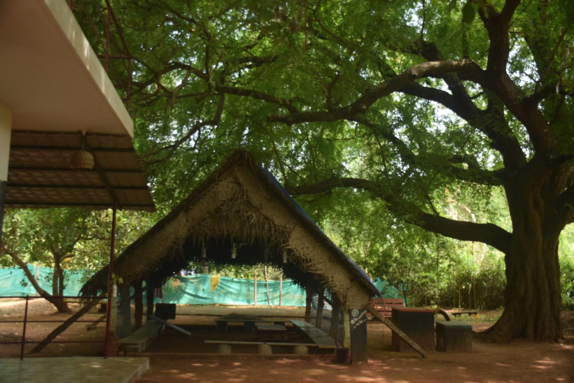 Travellers Crib Hotel Auroville Ngoại thất bức ảnh